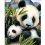 Wielokolorowe Zestawy ramek do zdjęć z motywem pand w rozmiarze 20x25 cm 