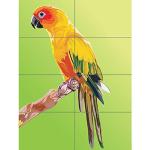 Wielokolorowe Plakaty graficzne z motywem papug gładkie 