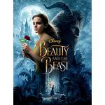 Beauty and the Beast Movie Tale As Old As Time 60
