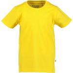 Żółte Koszulki dziecięce z krótkim rękawkiem dla niemowląt eleganckie marki Blue Seven w rozmiarze 92 - wiek: 0-6 miesięcy 