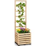 Blumfeldt Modu Grow 50, zestaw: grządka podwyższona i pergola, 50 x 151 x 45 cm, drewno sosnowe, folia bąbelkowa