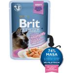 Karmy dla kotów z łososiem marki Brit 