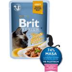 Karmy dla kotów z tuńczykiem marki Brit 