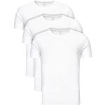 Białe Koszulki męskie marki Calvin Klein w rozmiarze L 