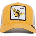 Żółte Queen Bee Caps - Moda z Brzękiem Goorin Bros