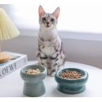 Wielokolorowe Miski dla kotów ceramiczne 