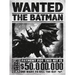 DC Comics WDC92263 Batman Arkham Origins poszukiwa