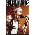 empireposter 763648, Guns N Roses Axel plakat