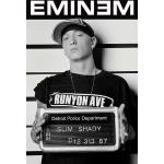 empireposter - Eminem - Mugshot - Rozmiar (cm), ok