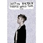 empireposter Purpose Tour plakat Justin Bieber Pop