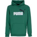 Zielone Bluzy z kapturem marki Puma w rozmiarze XL 