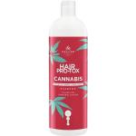 Kallos Hair Pro-Tox Cannabis Regenerujący Szampon (Shampoo) (Objętość 1000 ml)