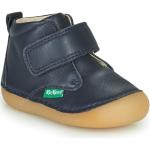 Przecenione Niebieskie Wysokie buty dla dzieci marki Kickers w rozmiarze 18 - wysokość obcasa do 3cm 