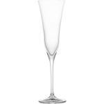 Przecenione Kieliszki do szampana przezroczyste porcelanowe marki Brandani 