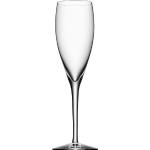 Kieliszki do szampana - 4 sztuki marki Orrefors 