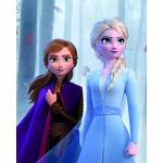 Wielokolorowe Plakaty filmowe marki Komar Disney Elsa 