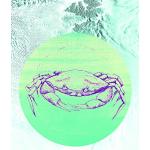 Wielokolorowe Obrazy z motywem morza marki Komar 