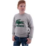 Koszulki dziecięce sportowe bawełniane marki Lacoste 