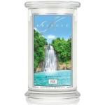 Kringle Candle Soy Jar Fiji świeca zapachowa 0.623 g