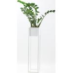 Białe Sztuczne rośliny doniczkowe w nowoczesnym stylu metalowe marki Jakpol 