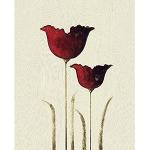 Wielokolorowe Plakaty z motywem tulipanów 