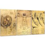 Obraz Nowoczesny Giant na płótnie Płótno - Sztuka - Leonardo da Vinci Portret - Mężczyzna Witruwiański - Medycyna Anatomia Szkielet -100x50cm (cod.1206)