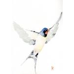 Białe Obrazy z motywem ptaków 