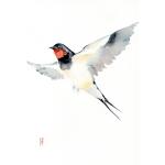 Białe Obrazy z motywem ptaków 