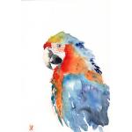 Obrazy z motywem papug 