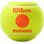 Pomarańczowe Piłki tenisowe marki Wilson 