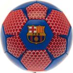 Piłka nożna wektor FC Barcelona