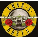Pistolety N Roses (logo kuli) 40 x 40 cm płótno, w