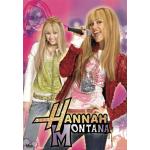 Plakat Hannah Montana 3D Dzień & Night 3D plakat i