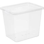 Plast Team Basic Box 31 l, pudełko do przechowywania z pokrywką, z tworzywa sztucznego, przezroczyste, zestaw 5 sztuk, puste