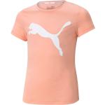 Łososiowe Koszulki dziecięce sportowe dla niemowląt marki Puma Active w rozmiarze 98 - wiek: 0-6 miesięcy 