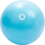 Pure2Improve Piłka do ćwiczeń, 65 cm, jasnoniebieska
