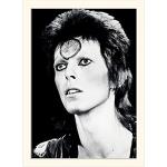 Pyramid International David Bowie (portret) – zamo