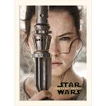 Wielokolorowe Plakaty marki Pyramid Star Wars Rey 