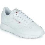 Przecenione Białe Niskie sneakersy męskie marki Reebok Classic w rozmiarze 42 - wysokość obcasa do 3cm 