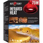 Repti Planet Żarówka Infrared Heat 75 W