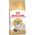 Royal Canin Breed Ragdoll Adult - 2 kg