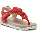 Przecenione Czerwone Sandały skórzane damskie z zamszu na lato marki Primigi w rozmiarze 35 