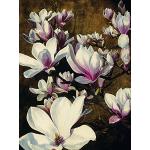 Wielokolorowe Plakaty z motywem magnolii 