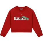 Czerwone Swetry dziecięce z aplikacją dla dziewczynek do prania w pralce bawełniane marki Dolce & Gabbana 