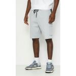 Szorty The North Face Icons Cargo Shorts (high rise grey)