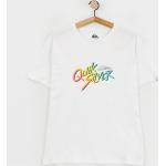 T-shirt Quiksilver Signature Move (white)