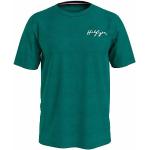 Zielone Koszulki męskie marki Tommy Hilfiger w rozmiarze XXL 