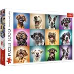 Trefl puzzle Śmieszne portrety psów, 1000 elementów