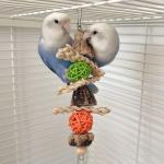 Wielokolorowe Zabawki dla ptaków drewniane 