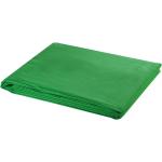vidaXL Zielone tło fotograficzne, bawełniane, 600 x 300 cm, chroma key